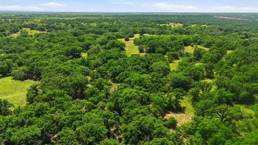 424 County Road 581 Cisco, TX 76437