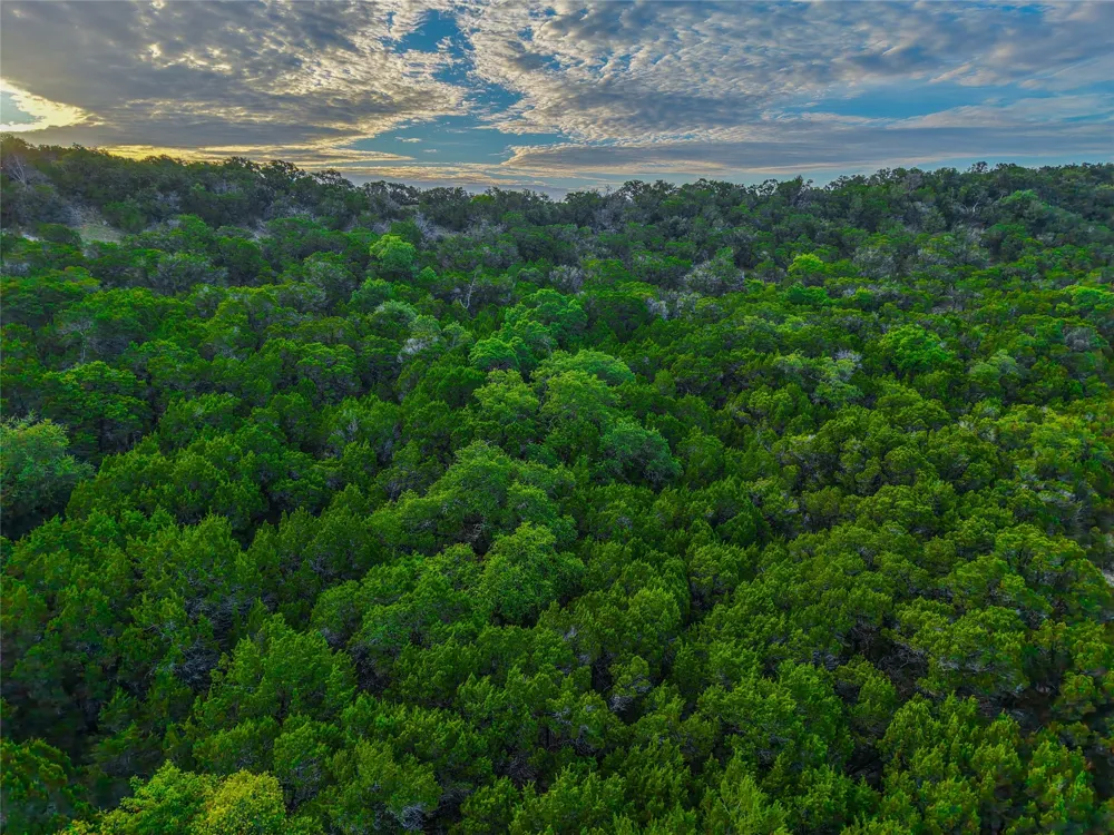 Cedar Knob Drive Harker Heights, TX 76548