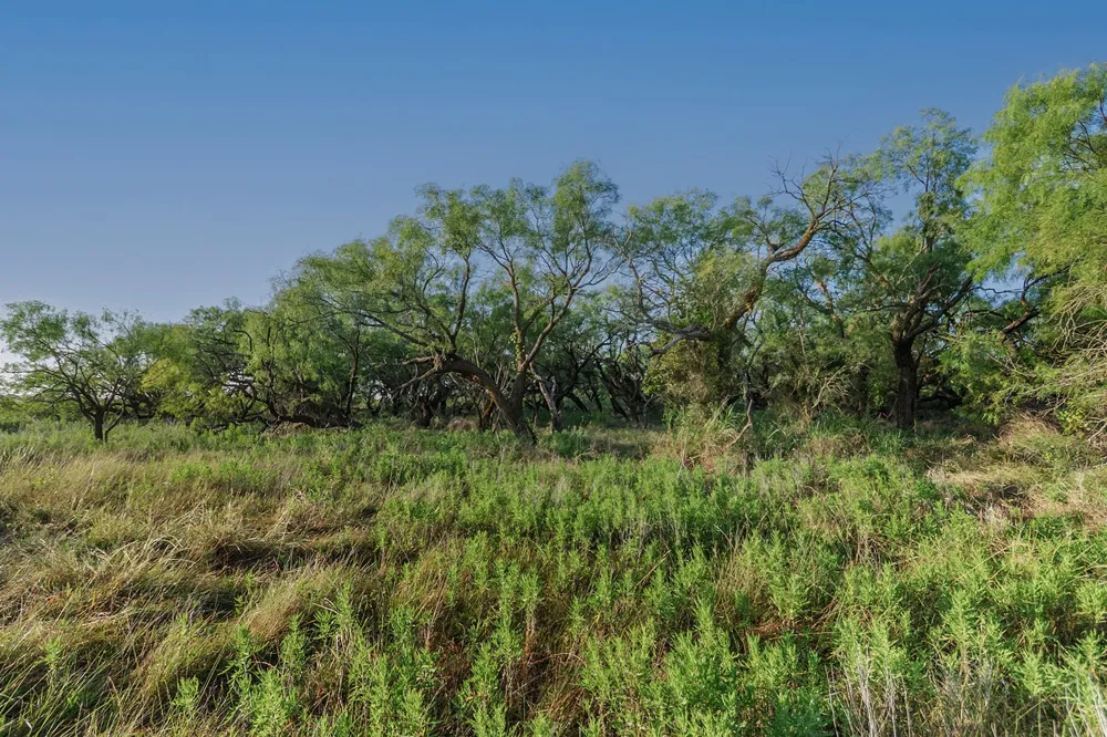 2055 CR 472 Rochelle, TX 76825