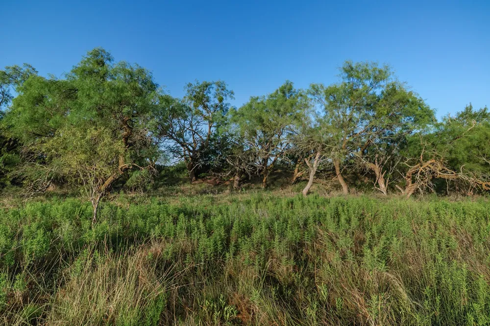 2055 CR 472 Rochelle, TX 76825