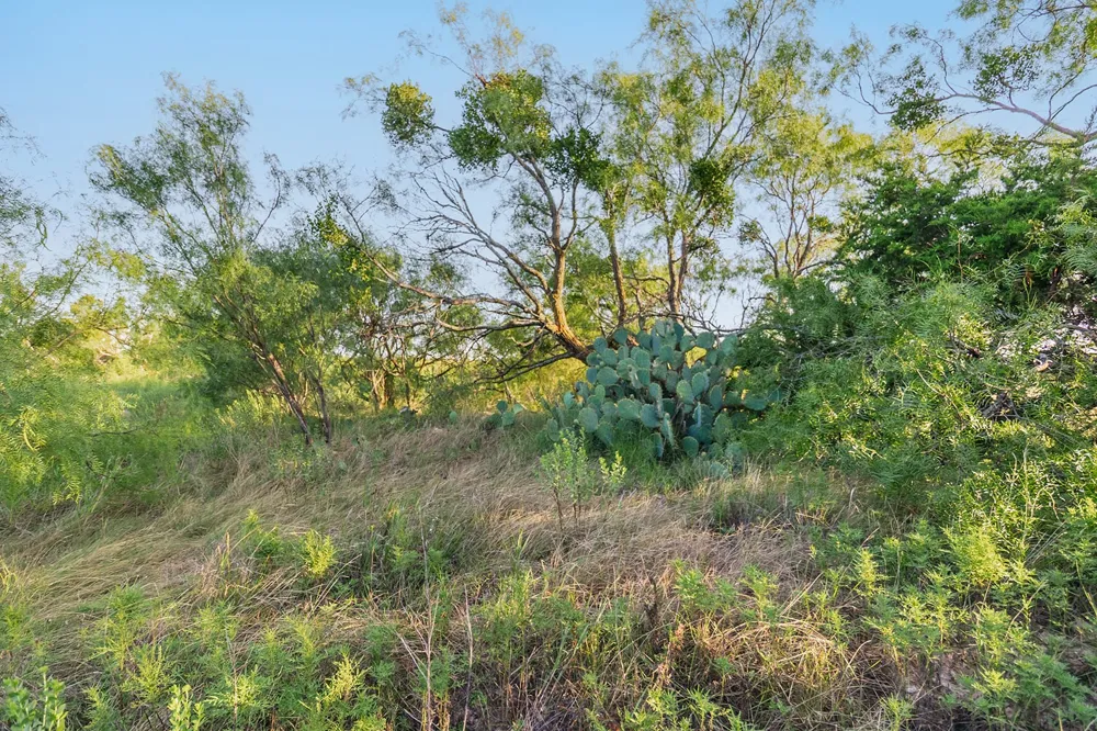 2055 CR 472 Rochelle, TX 76825