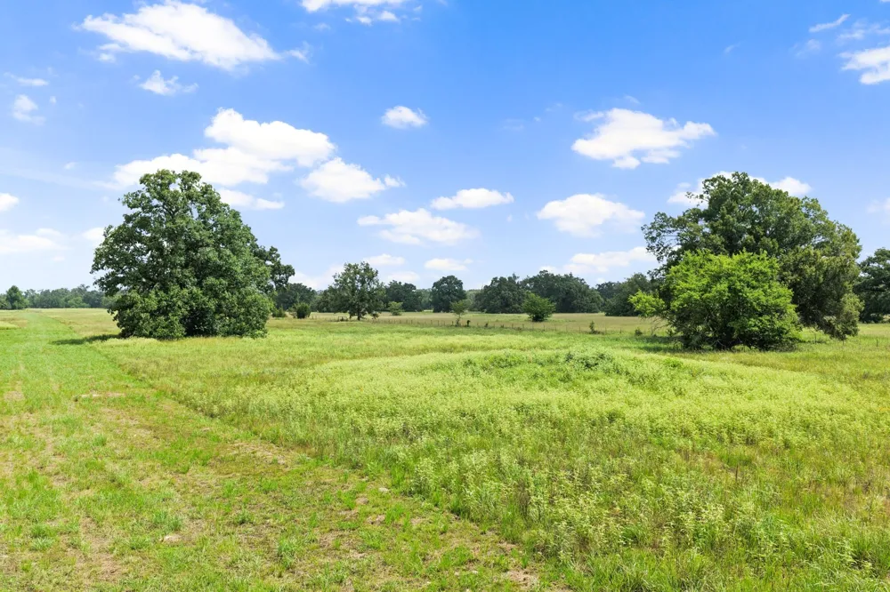 495 NE County Road 2220 Talco, TX 75487