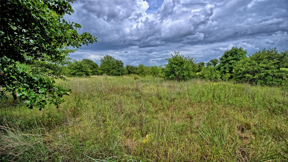 Indian School Road Bowie, TX 76230