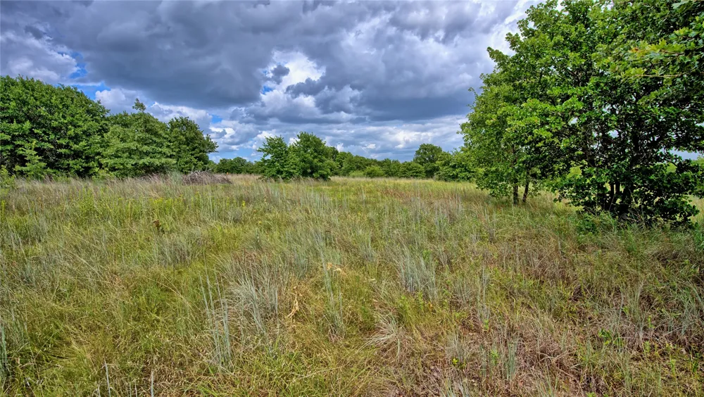 Indian School Road Bowie, TX 76230