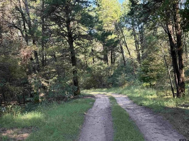 21120 Fm 16 W Lindale, TX 75771
