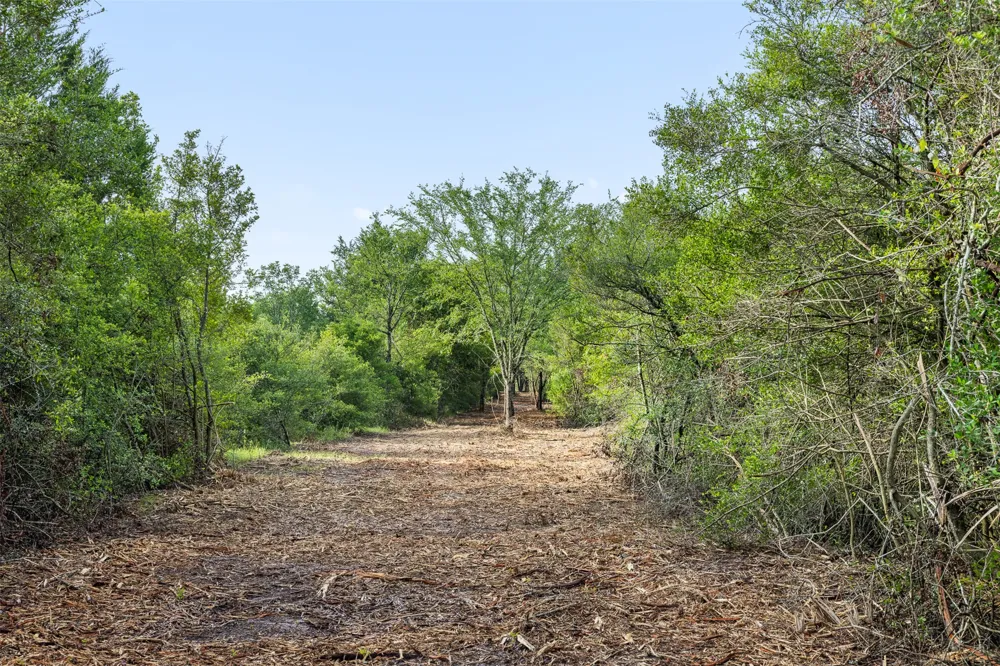 5241 County Road 358 Crest Caldwell, TX 77836