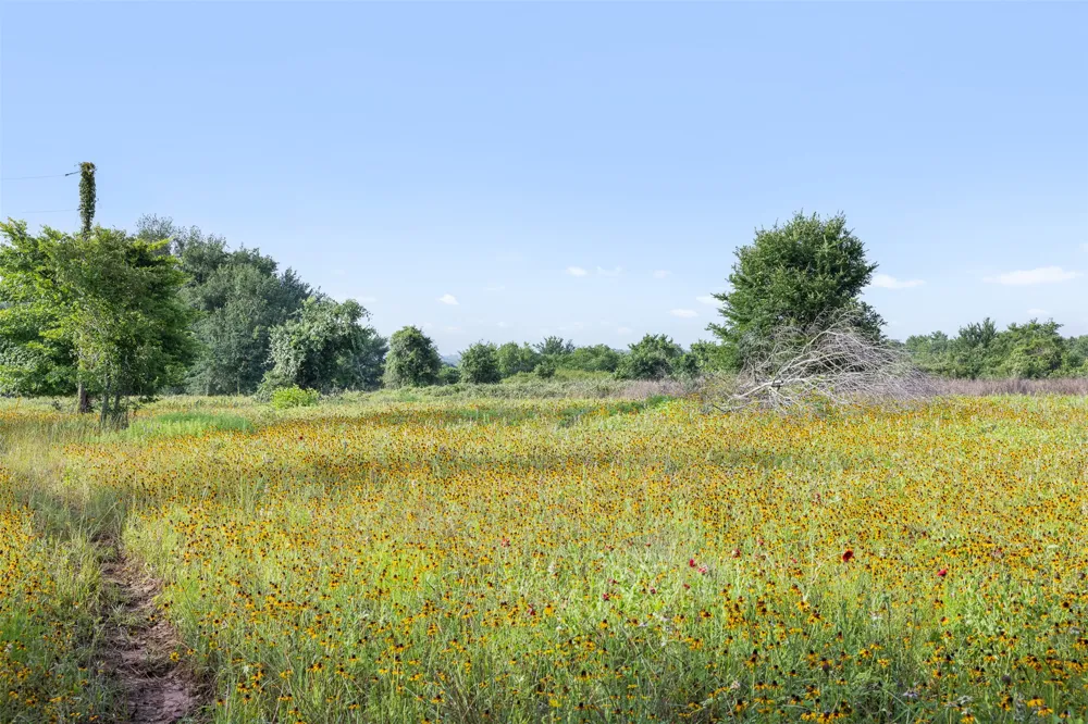 5241 County Road 358 Crest Caldwell, TX 77836