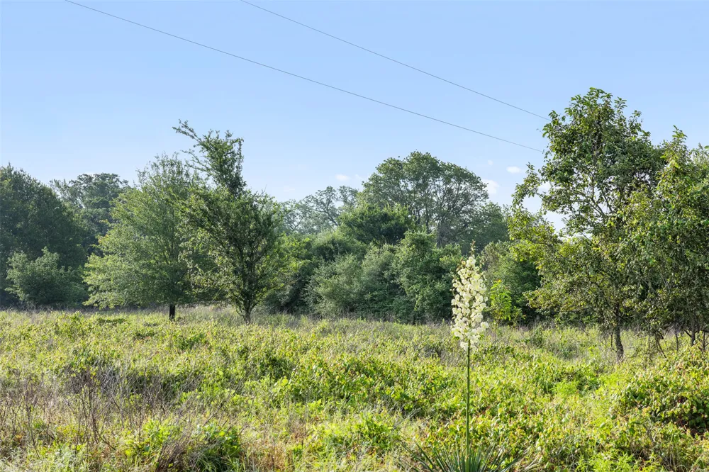 5241 County Road 358 Crest Caldwell, TX 77836