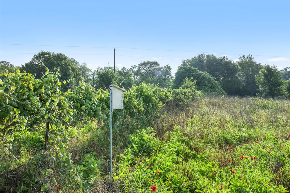 5241 County Road 358 Crest Caldwell, TX 77836