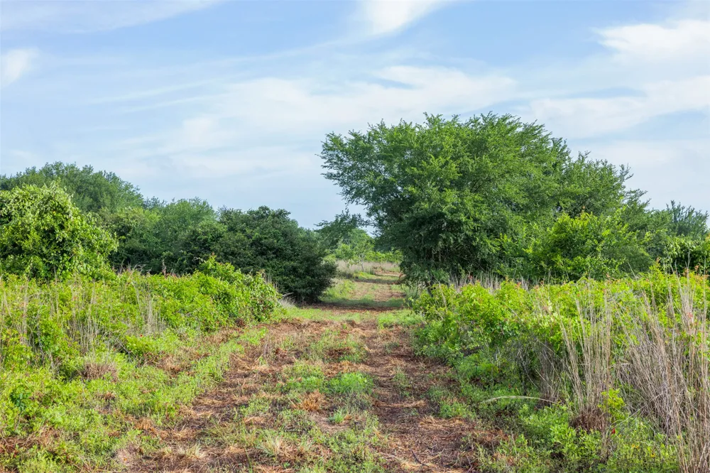 5241 County Road 358 Crest Caldwell, TX 77836