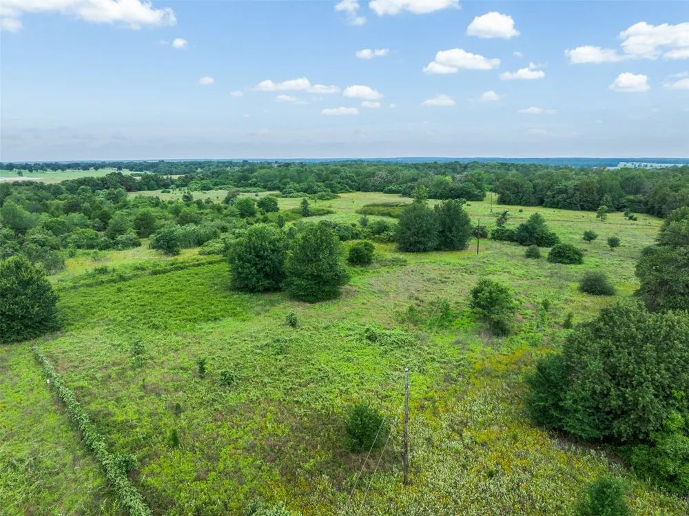 5241 County Road 358 Crest Caldwell, TX 77836