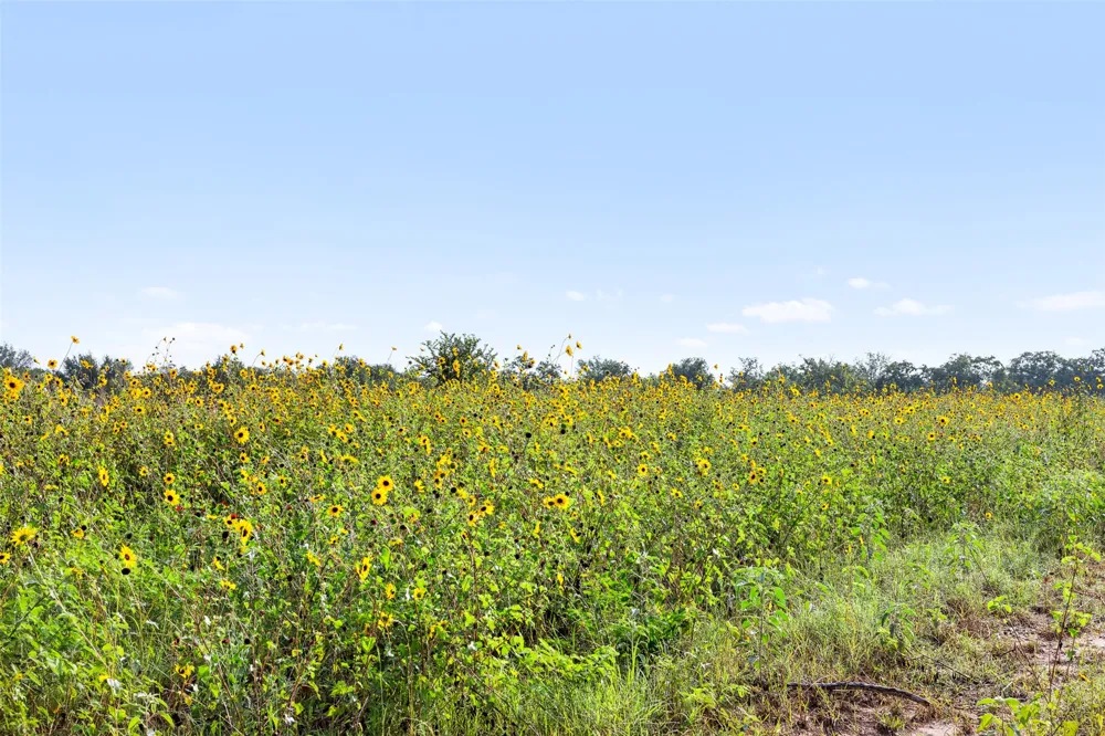 5241 County Road 358 Crest Caldwell, TX 77836