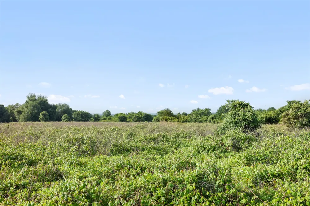 5241 County Road 358 Crest Caldwell, TX 77836