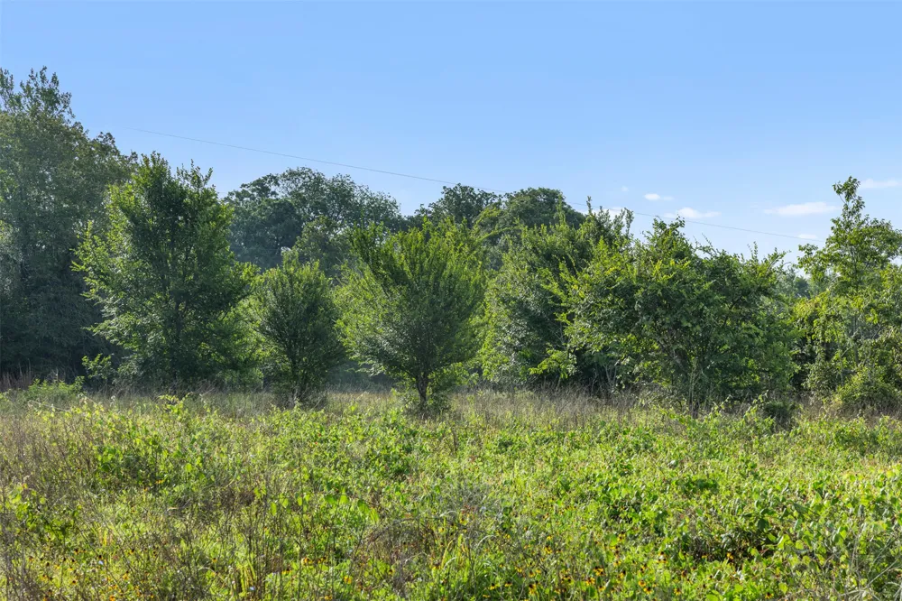 5241 County Road 358 Crest Caldwell, TX 77836