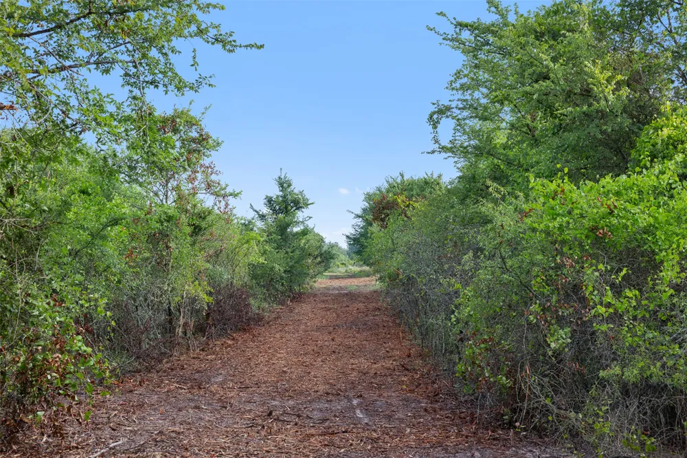 5241 County Road 358 Crest Caldwell, TX 77836