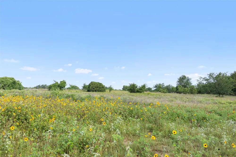5241 County Road 358 Crest Caldwell, TX 77836