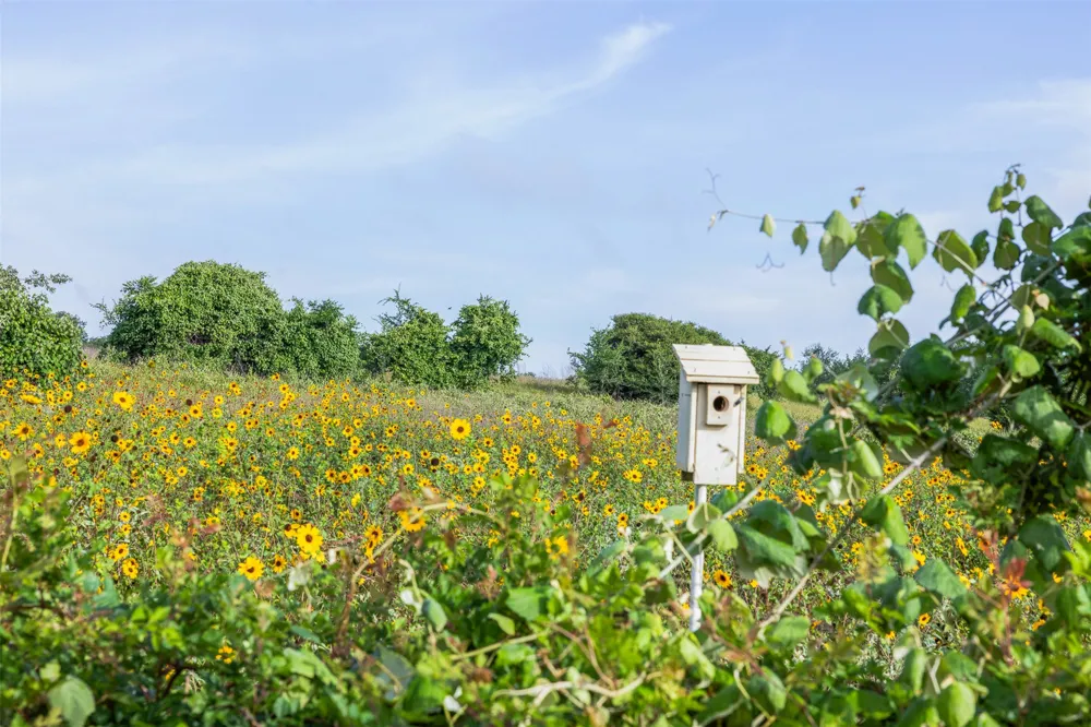 5241 County Road 358 Crest Caldwell, TX 77836