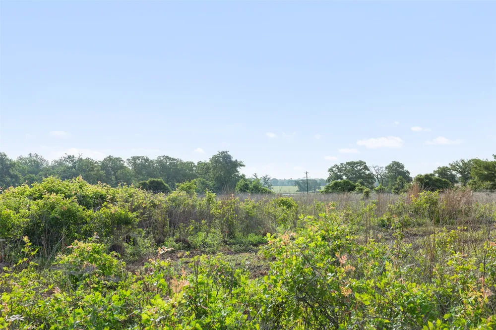 5241 County Road 358 Crest Caldwell, TX 77836