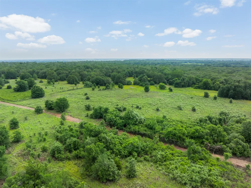 5241 County Road 358 Crest Caldwell, TX 77836