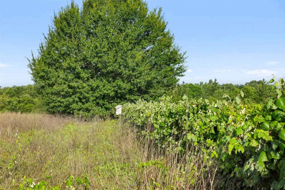 5241 County Road 358 Crest Caldwell, TX 77836