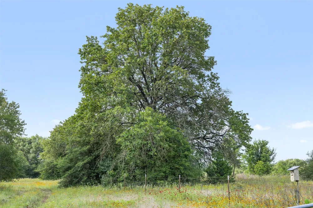 5241 County Road 358 Crest Caldwell, TX 77836