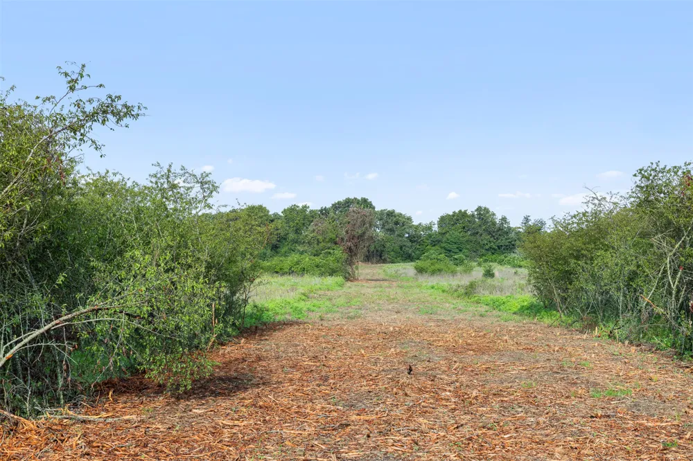 5241 County Road 358 Crest Caldwell, TX 77836