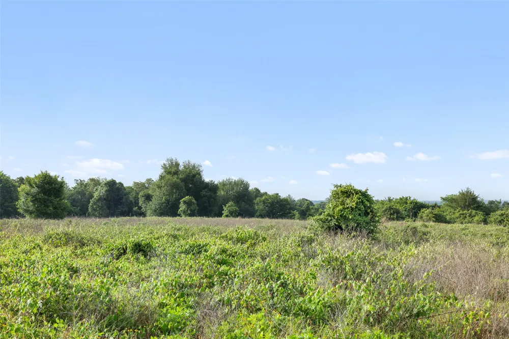 5241 County Road 358 Crest Caldwell, TX 77836