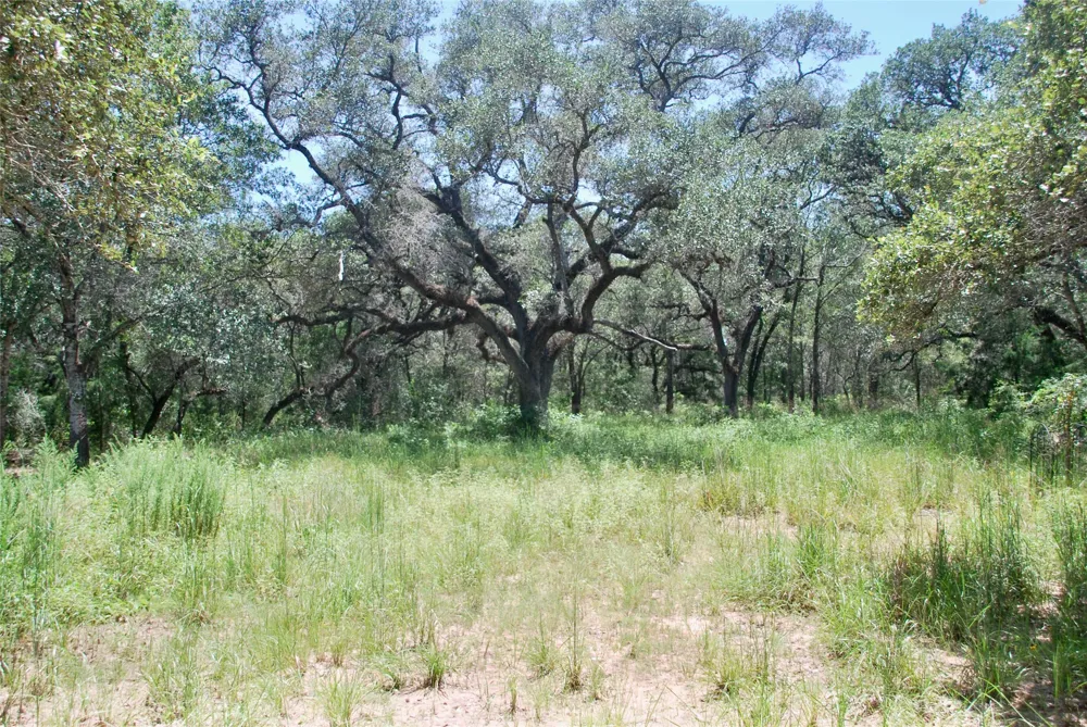 182 County Road 123F Hallettsville, TX 77964
