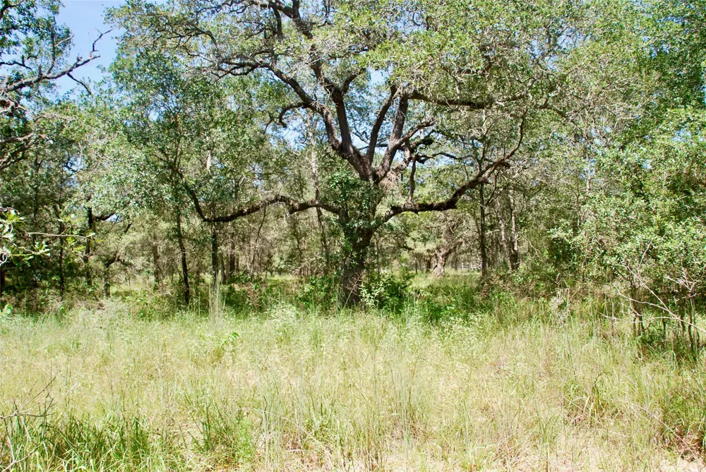 182 County Road 123F Hallettsville, TX 77964