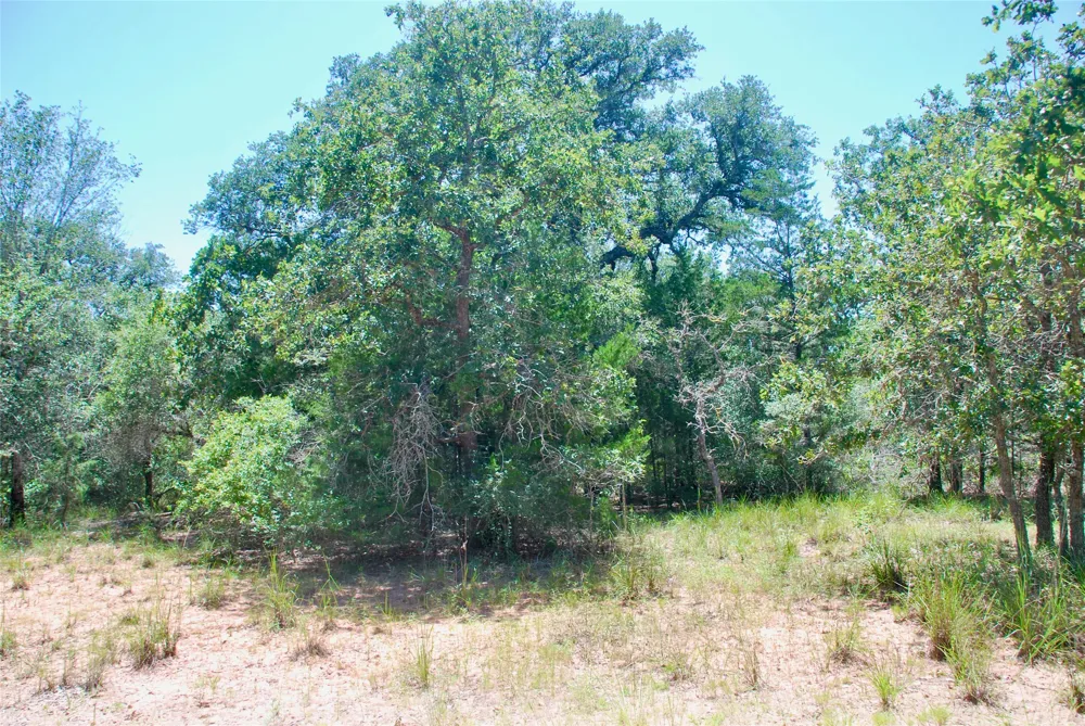 182 County Road 123F Hallettsville, TX 77964