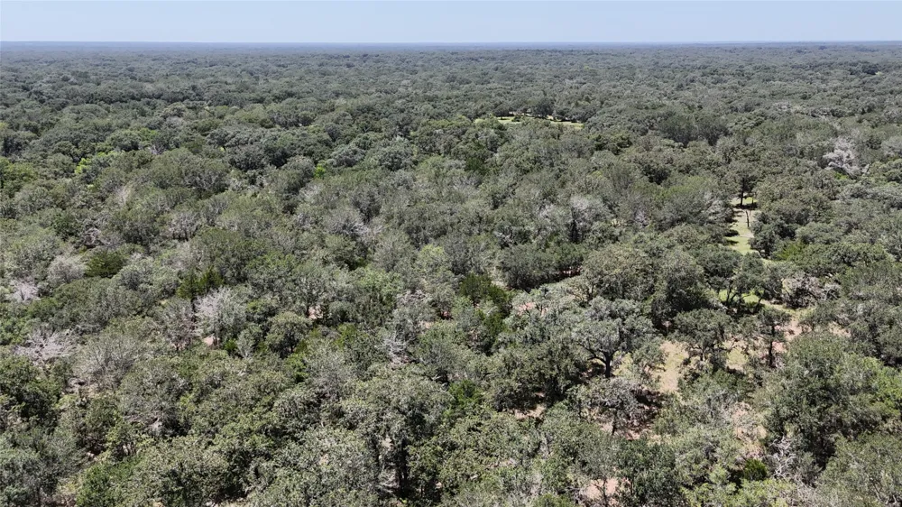182 County Road 123F Hallettsville, TX 77964