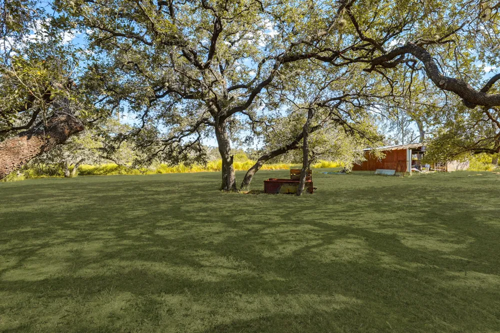 81 Pulliam Drive Pleasanton, TX 78064