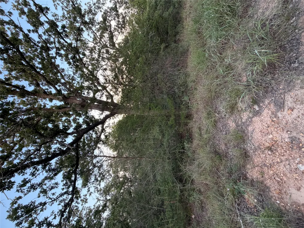4 Spruce Street Paige, TX 78659