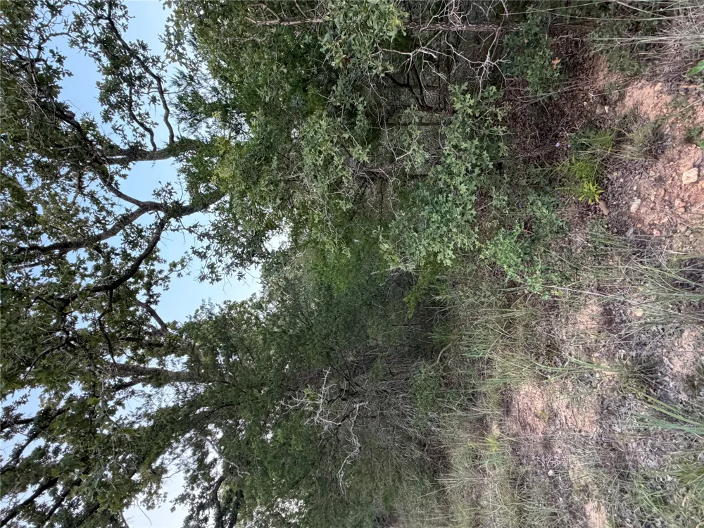 4 Spruce Street Paige, TX 78659