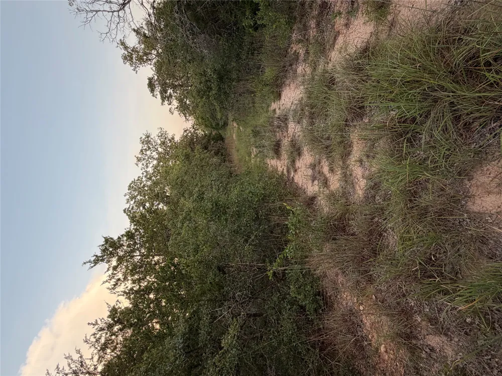 4 Spruce Street Paige, TX 78659