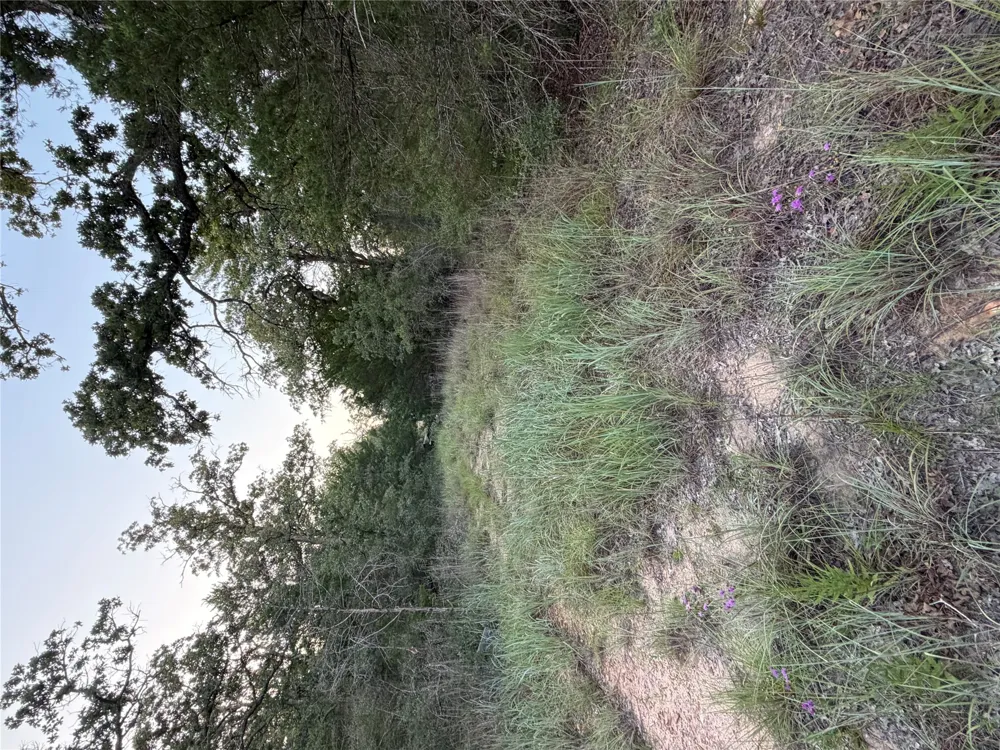 4 Spruce Street Paige, TX 78659