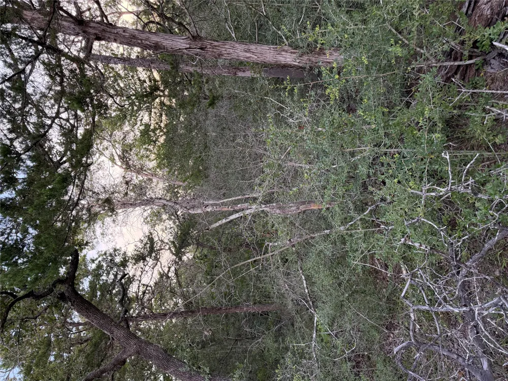 4 Spruce Street Paige, TX 78659