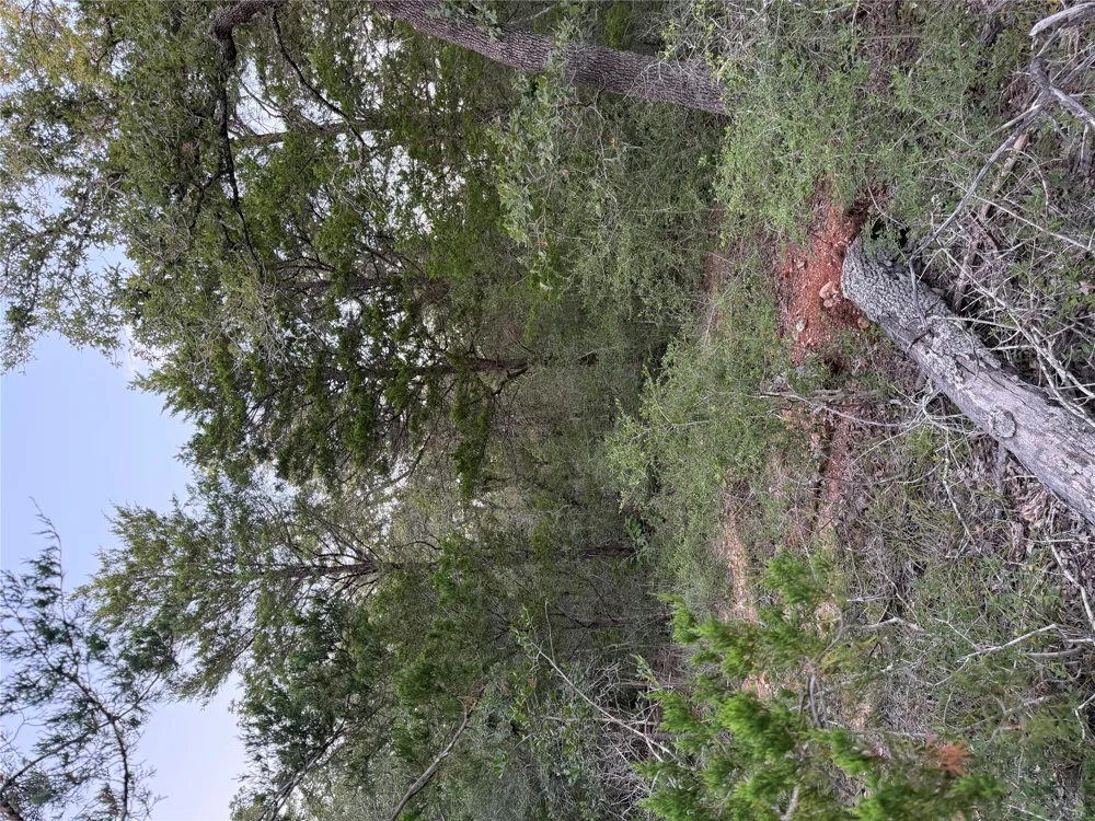 4 Spruce Street Paige, TX 78659