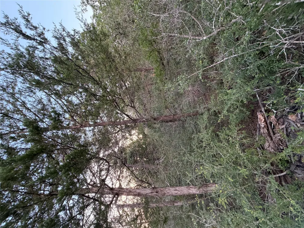 4 Spruce Street Paige, TX 78659