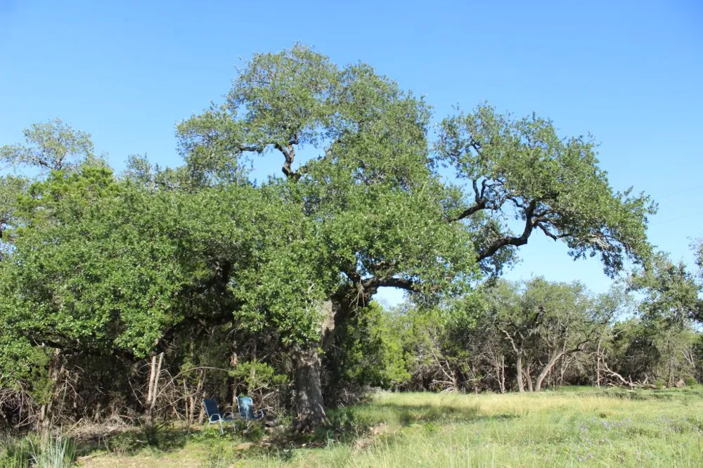 56 Travis Oaks Drive Marble Falls, TX 78654