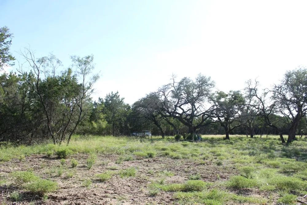 56 Travis Oaks Drive Marble Falls, TX 78654