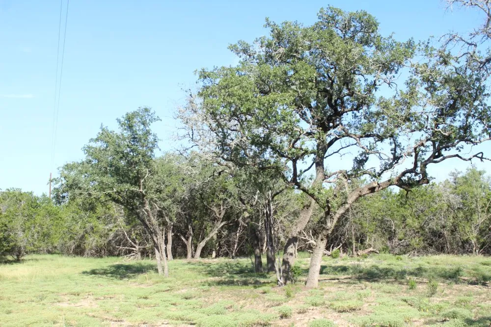 56 Travis Oaks Drive Marble Falls, TX 78654
