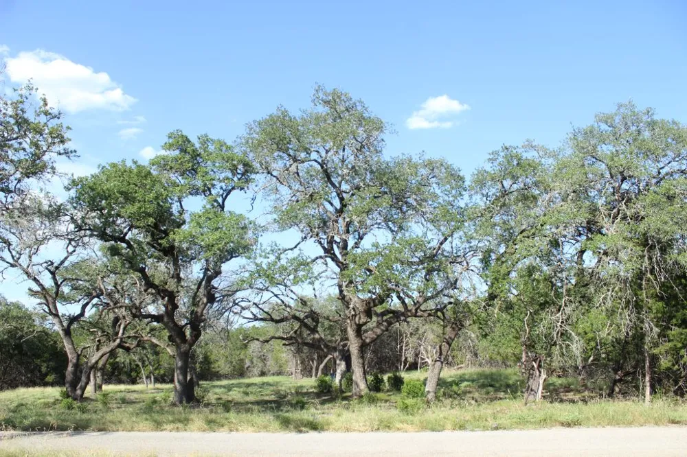 56 Travis Oaks Drive Marble Falls, TX 78654