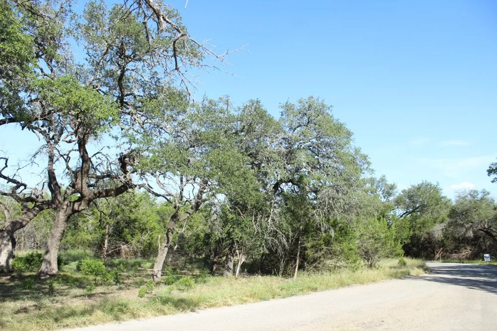 56 Travis Oaks Drive Marble Falls, TX 78654
