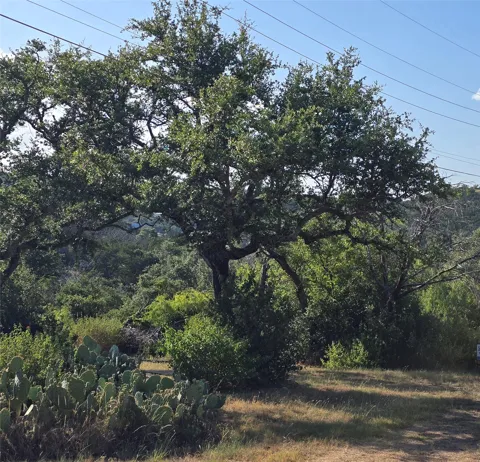Elm Road