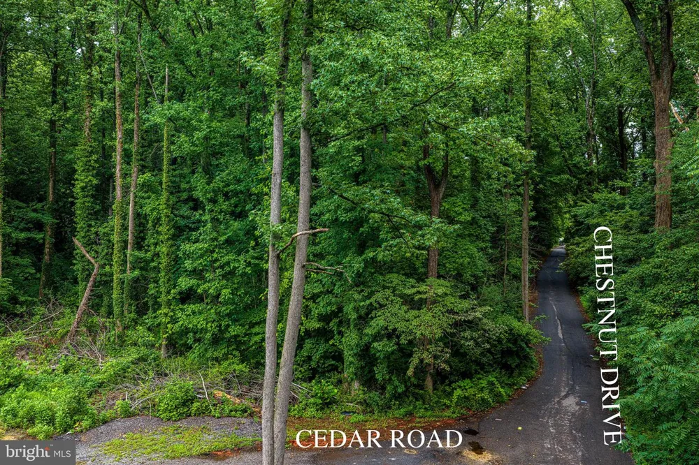 13304 CHESTNUT DRIVE Bowie, MD 20720