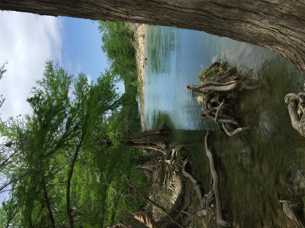172 Bluff Trail Dripping Springs, TX 78620