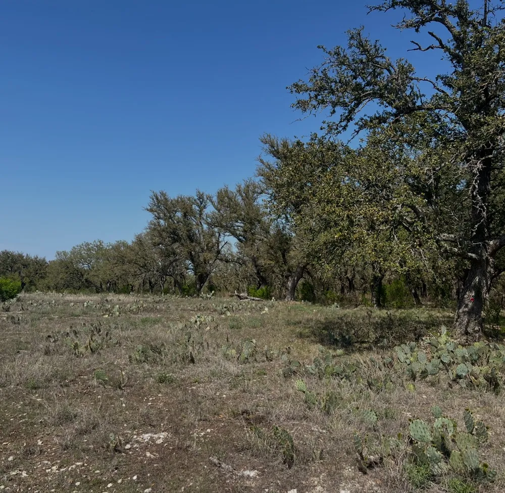 42 Waterbuck Way Lampasas, TX 76550