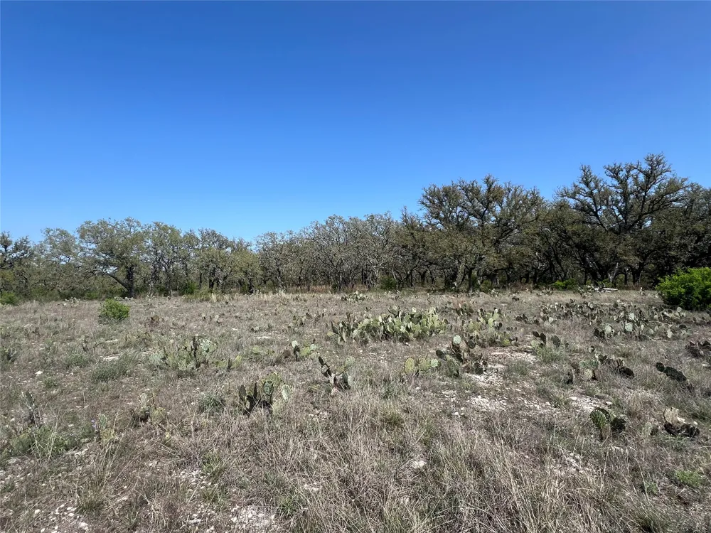 42 Waterbuck Way Lampasas, TX 76550