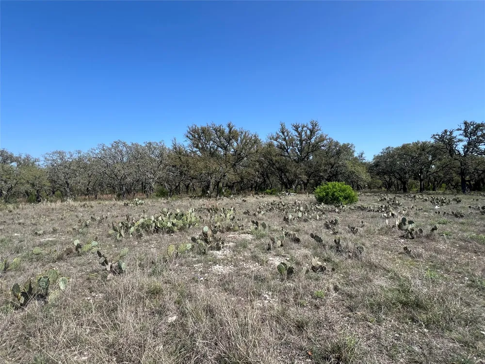 42 Waterbuck Way Lampasas, TX 76550